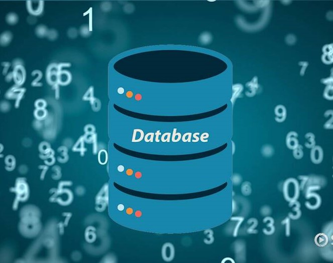 Database