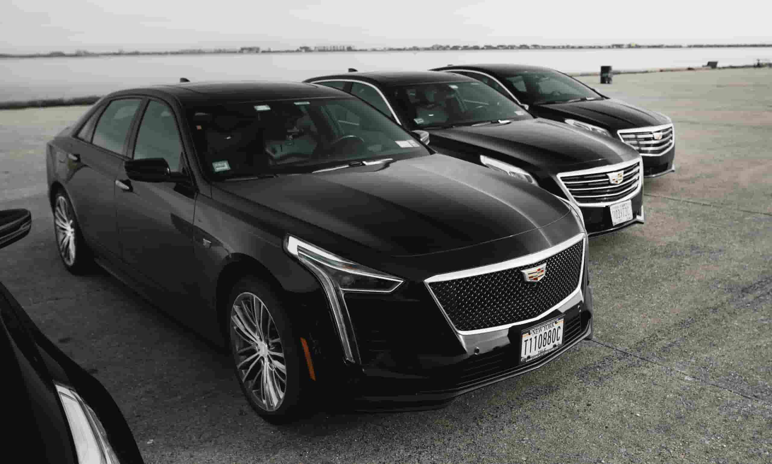 Elegant Limo LinkLumin 1 2