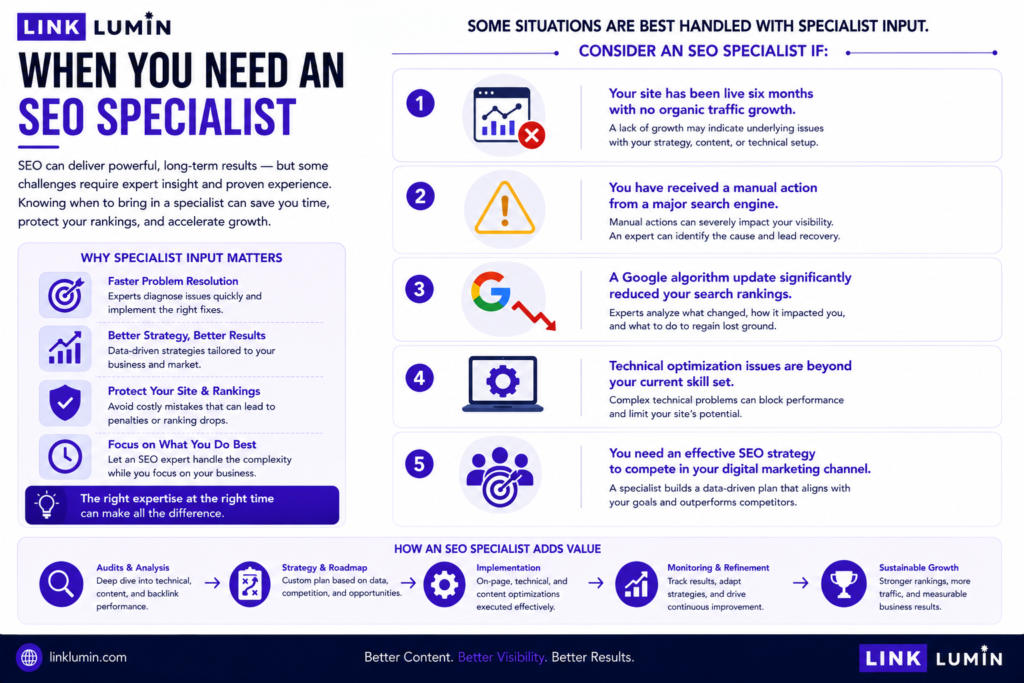 seo specialist